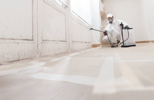 24/7 Emergency Mold Removal experts in Springfield, VA