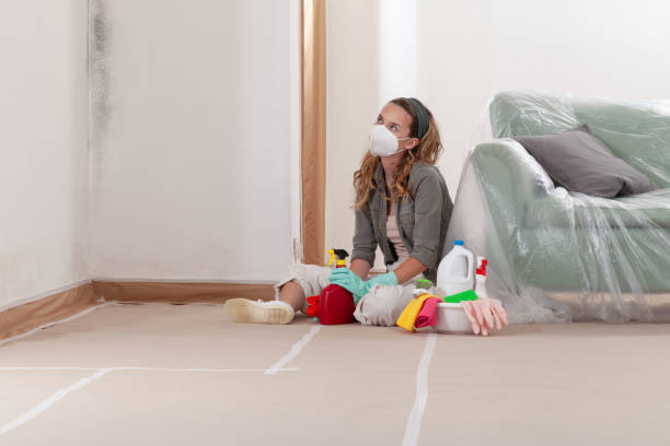 Reliable Mold Removal contractor in Springfield, VA by Mold Remediation HQ